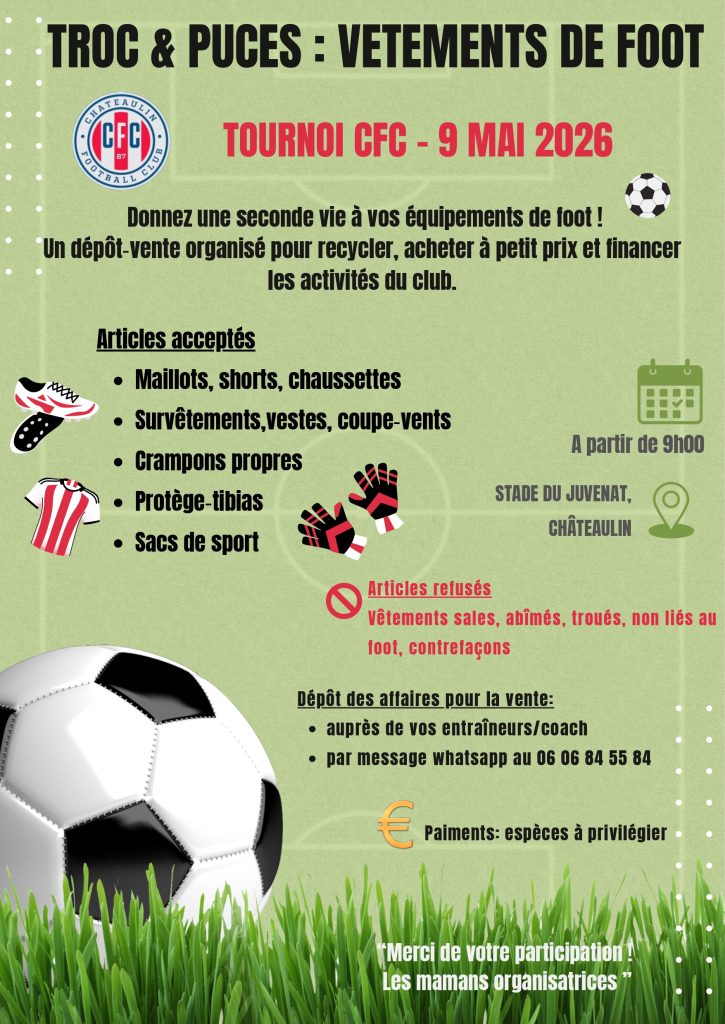 Affiche Trocs et puces page 0001