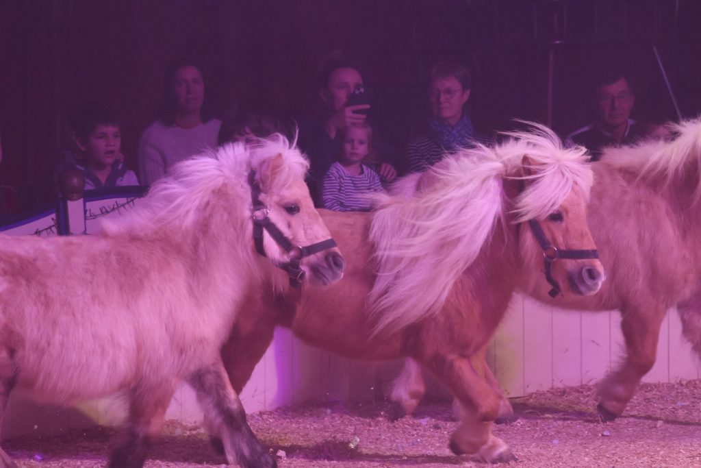 Cirque Franco Italien 2026 (2)