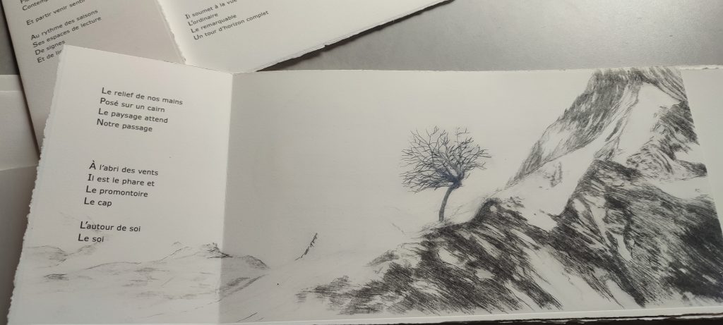 Le souffle de l'asphodèle 1